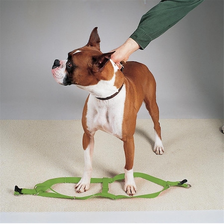 Casual Canine 25-40 in. Nylon 2 Step Dog HarnessGreen ZA807 25 29